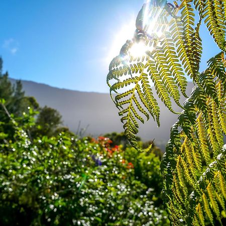 Au Coeur Du Paradis Cilaos Esterno foto