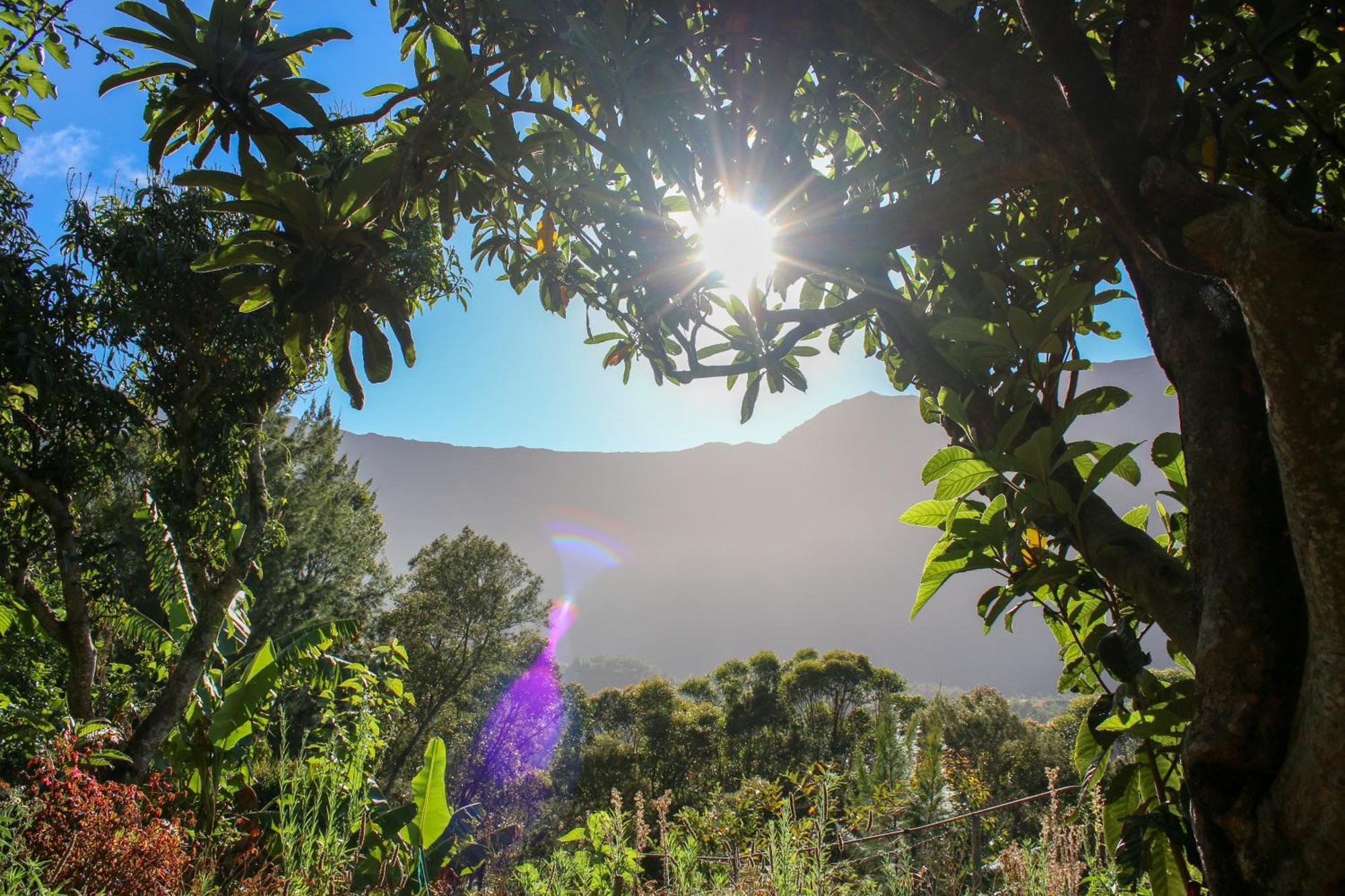Au Coeur Du Paradis Cilaos Esterno foto